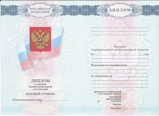 Диплом технолога 2007-2010 года